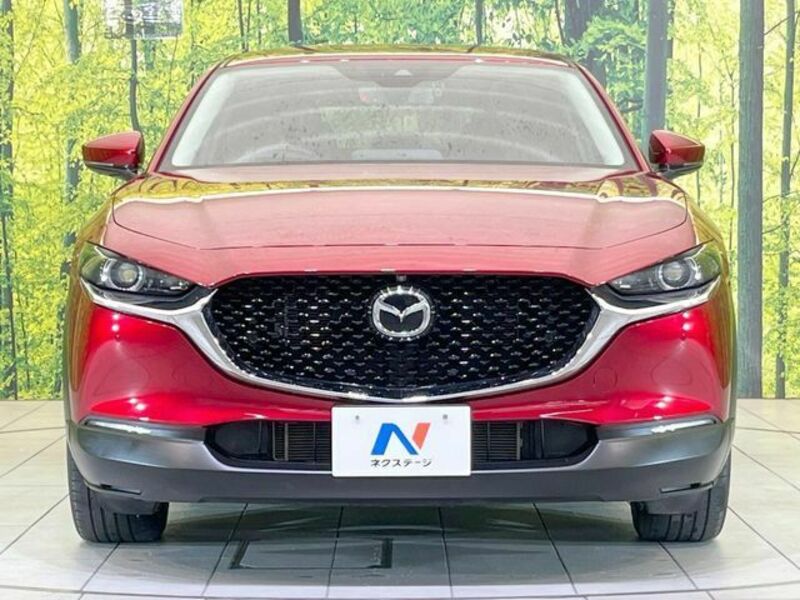 CX-30
