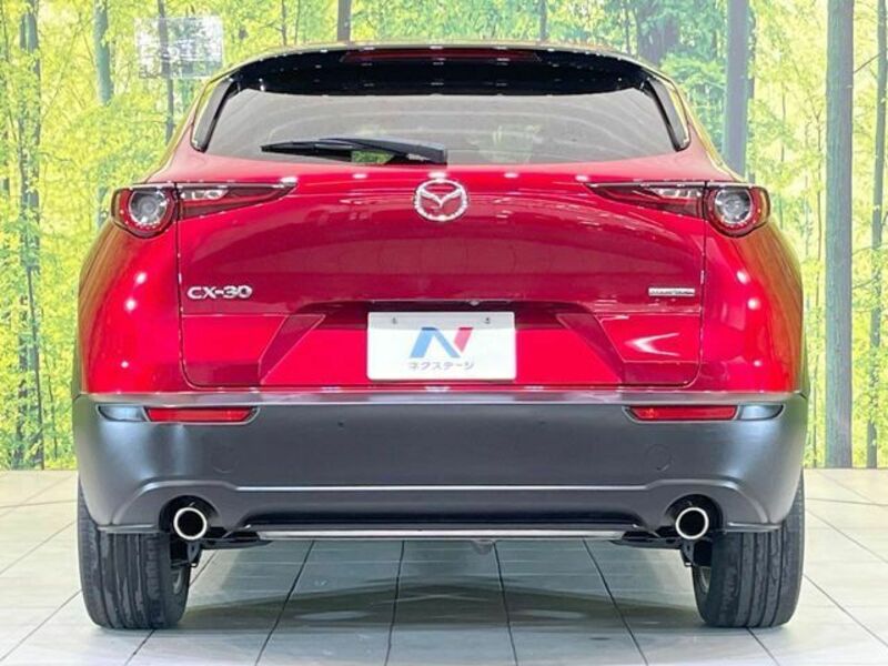 CX-30