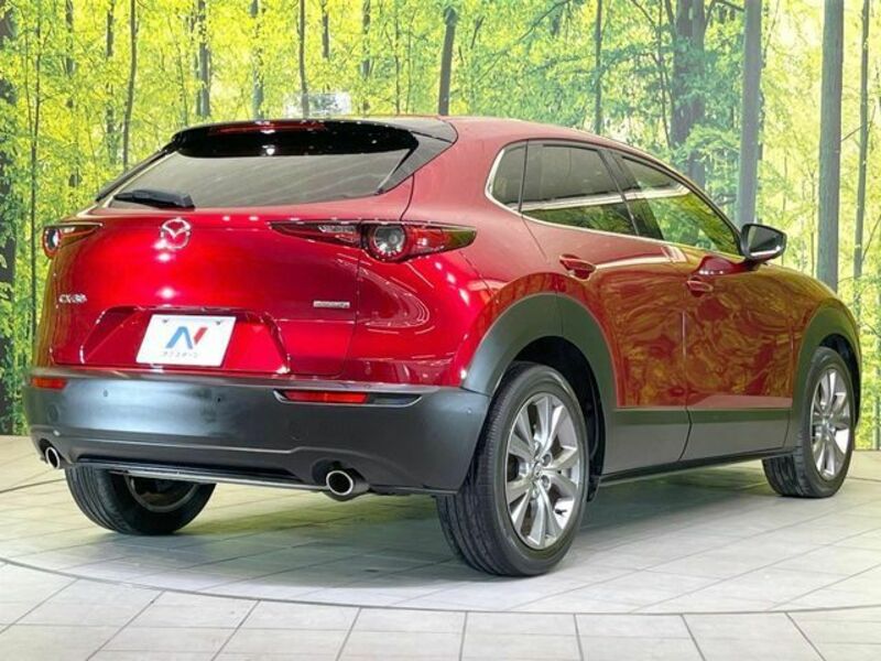 CX-30