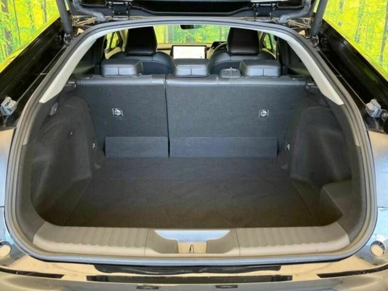 PRIUS-10