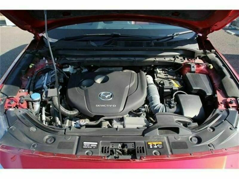CX-8