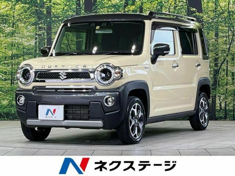 SUZUKI HUSTLER