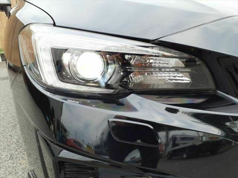 LEVORG-10