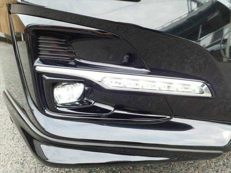 LEVORG-11