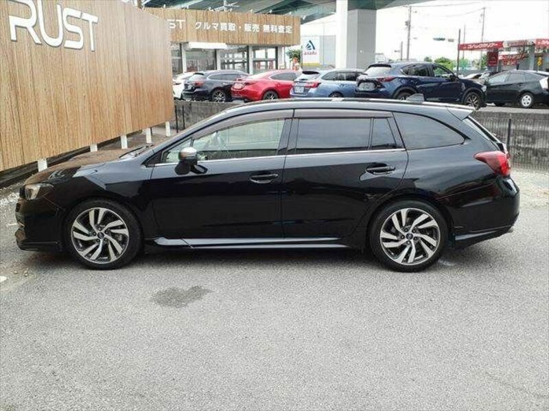 LEVORG-19