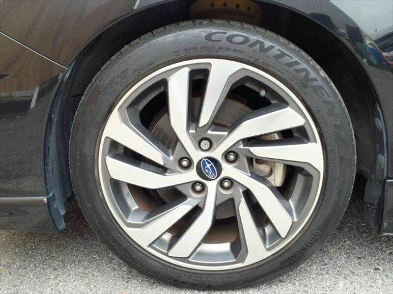 LEVORG-29