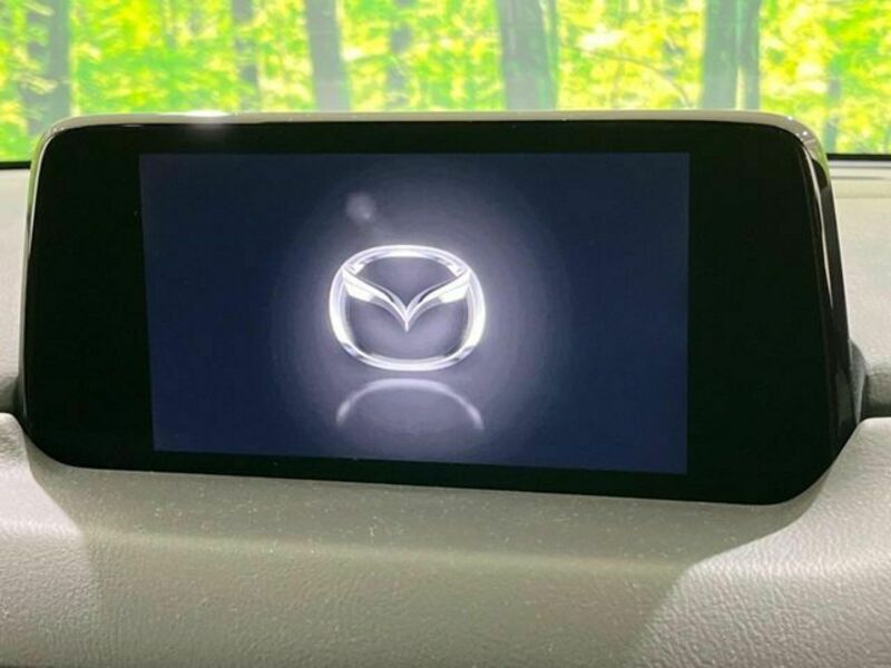CX-8-2