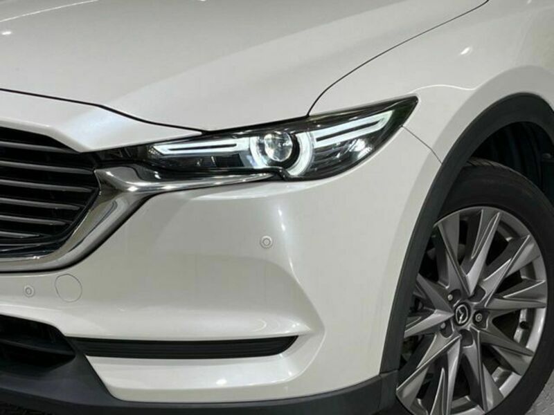 CX-8-11