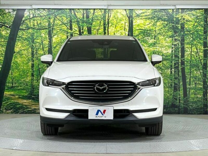 CX-8-13