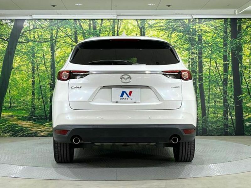 CX-8-14