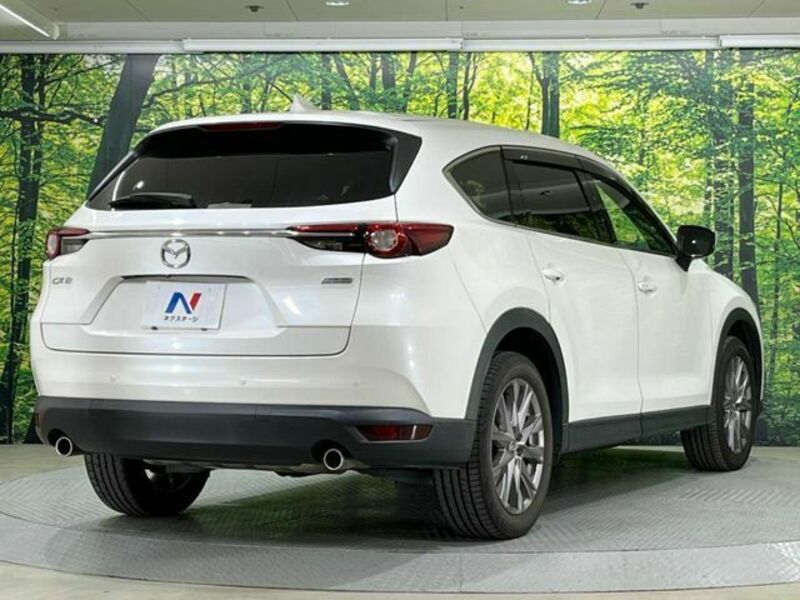 CX-8-16