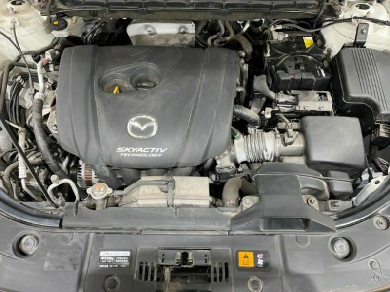 CX-8-17
