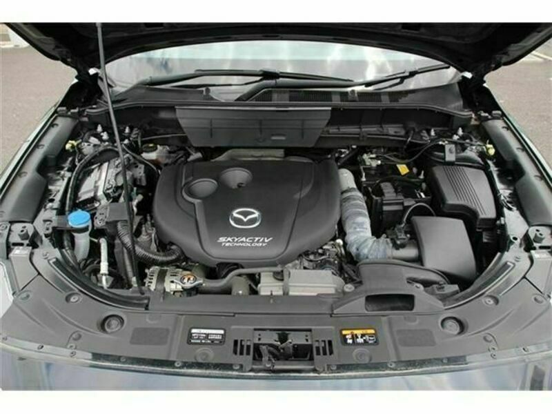 CX-8