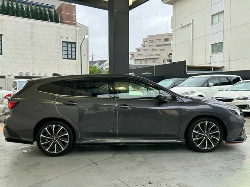 LEVORG