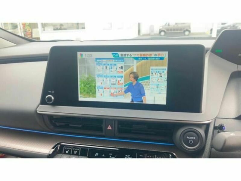 PRIUS-15