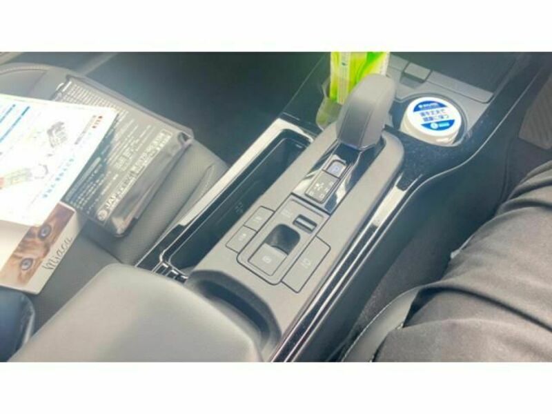 PRIUS-21