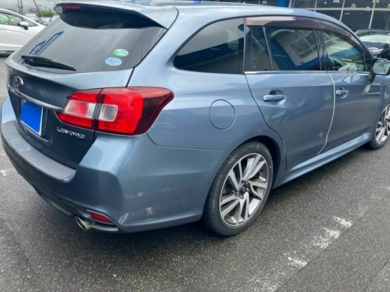 LEVORG