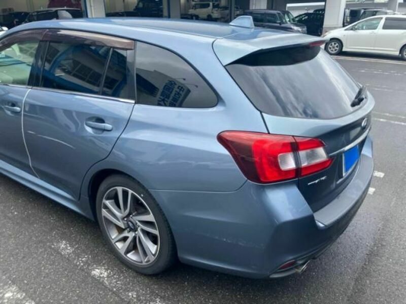 LEVORG