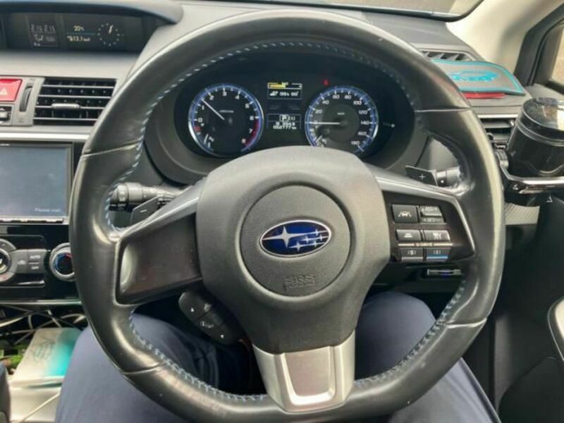 LEVORG