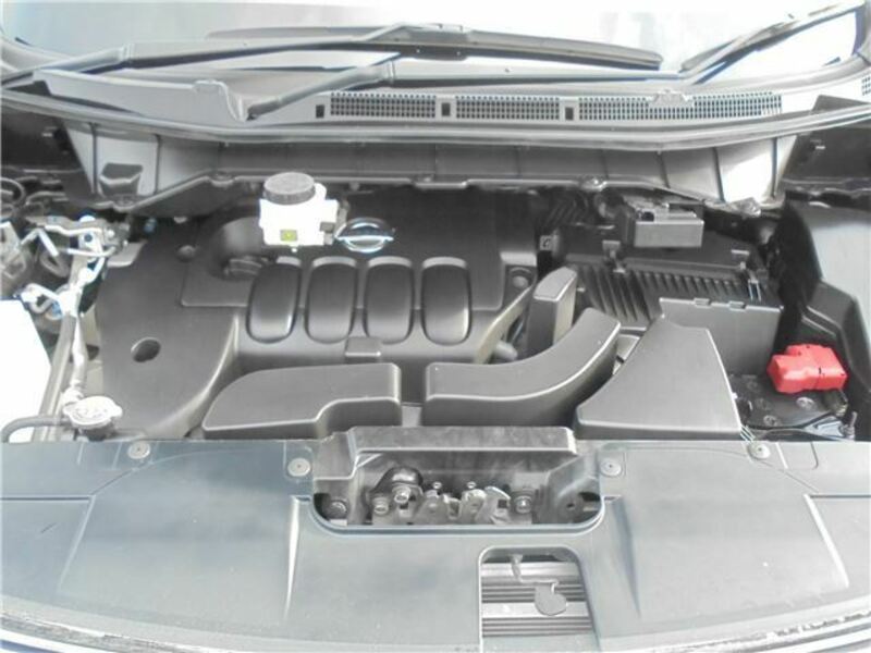ELGRAND-17