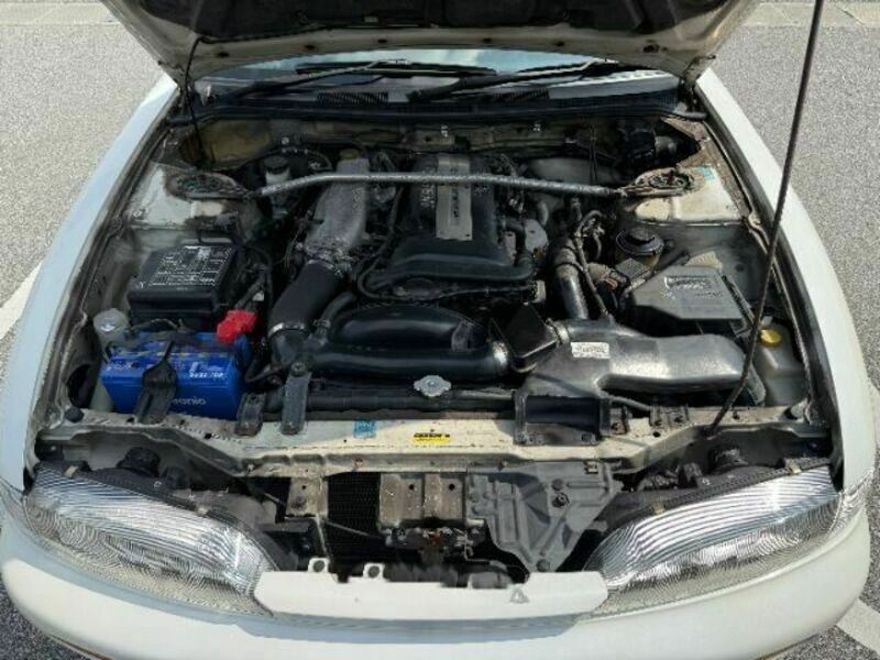 SILVIA