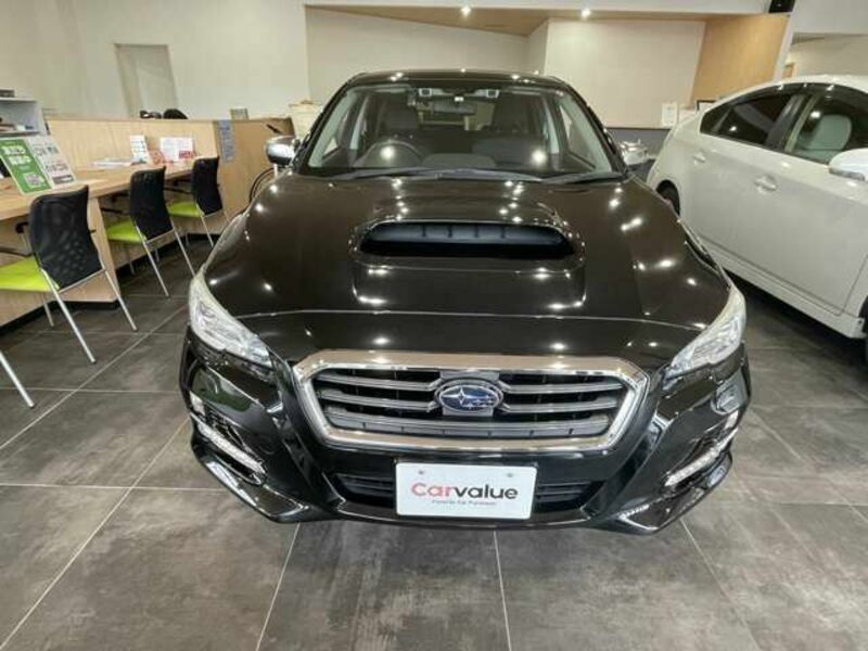 LEVORG