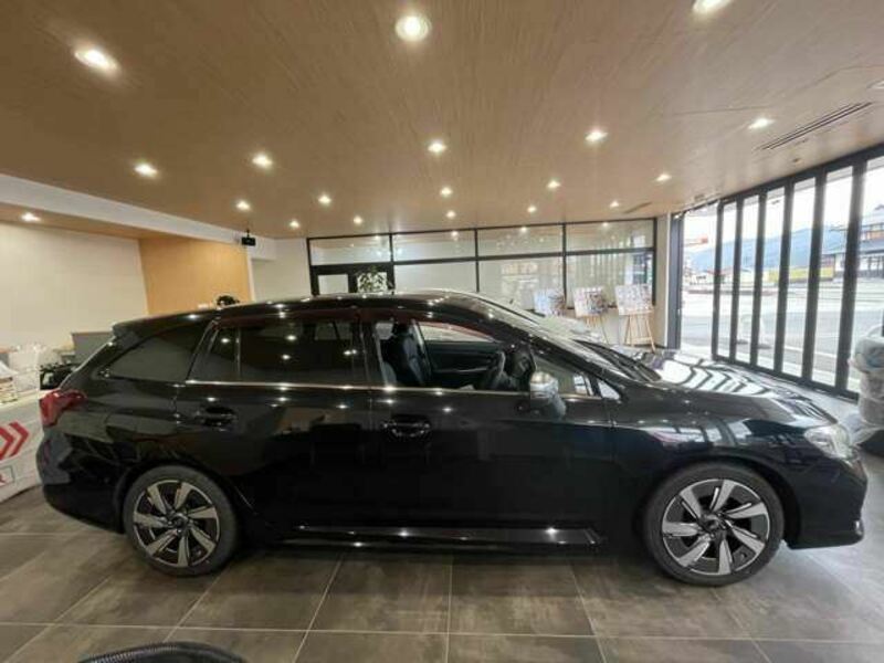 LEVORG