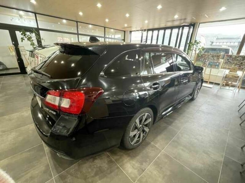 LEVORG