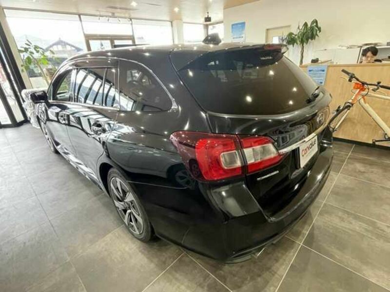 LEVORG
