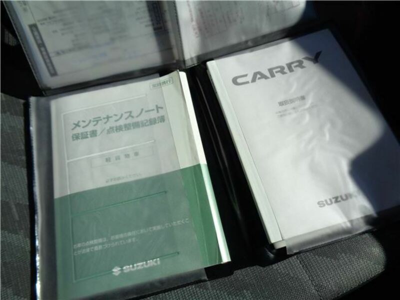 CARRY TRUCK