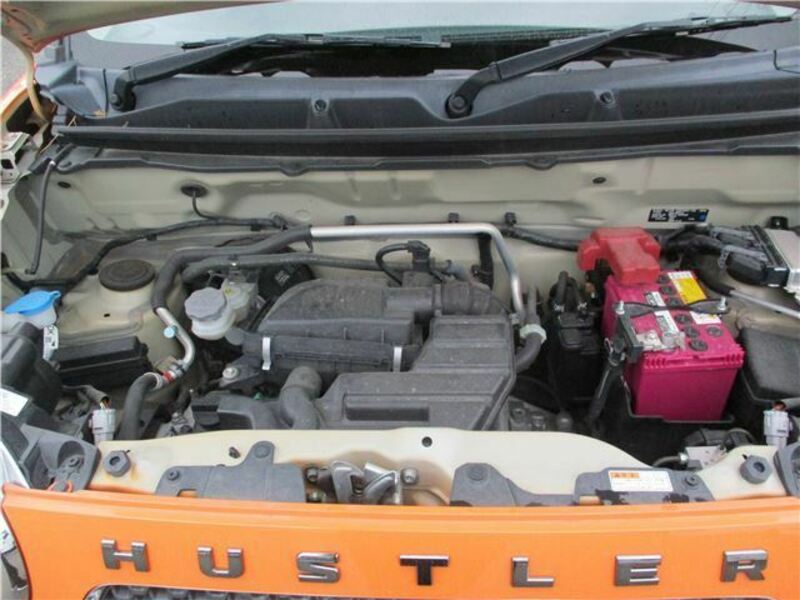 HUSTLER