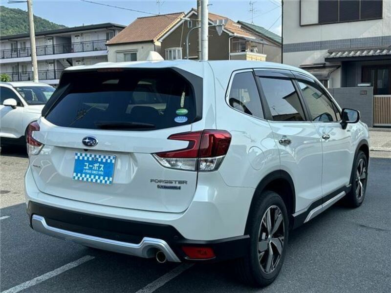 FORESTER