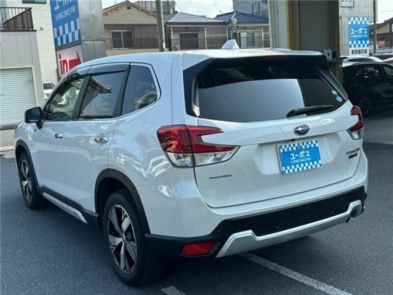 FORESTER