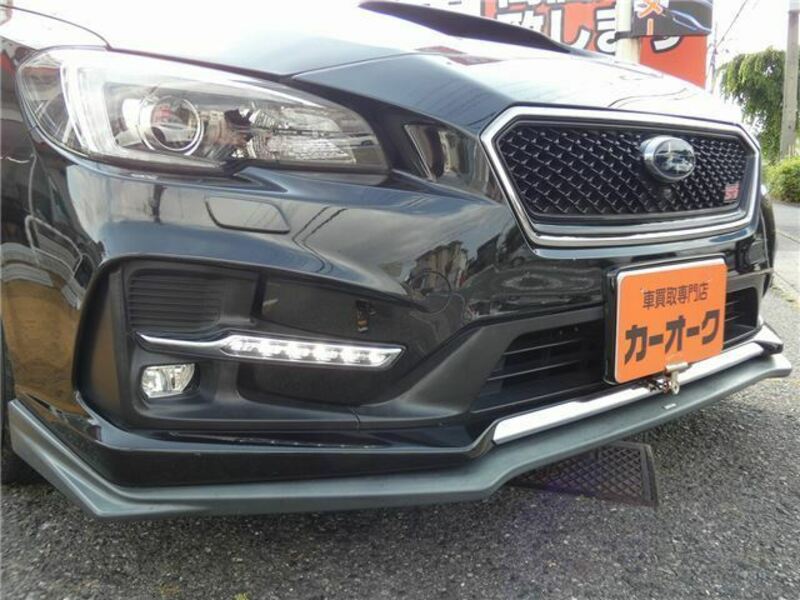 LEVORG