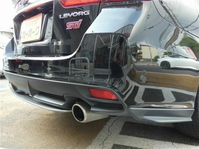 LEVORG