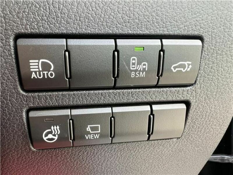 NX
