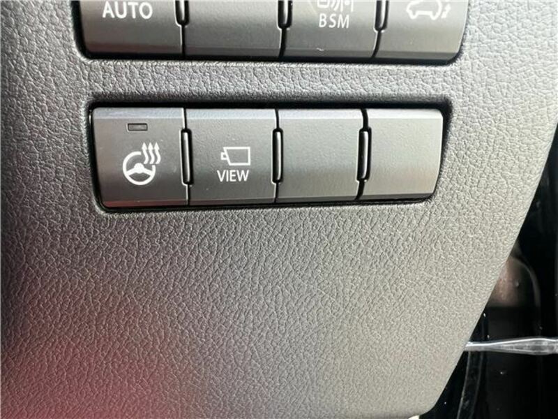 NX
