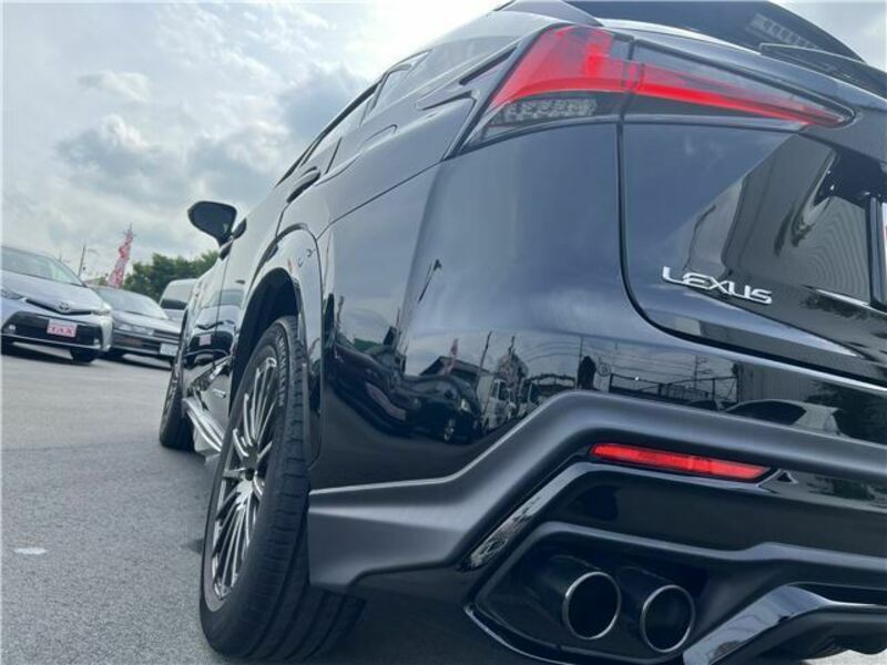 NX