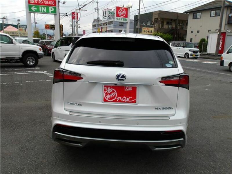 NX