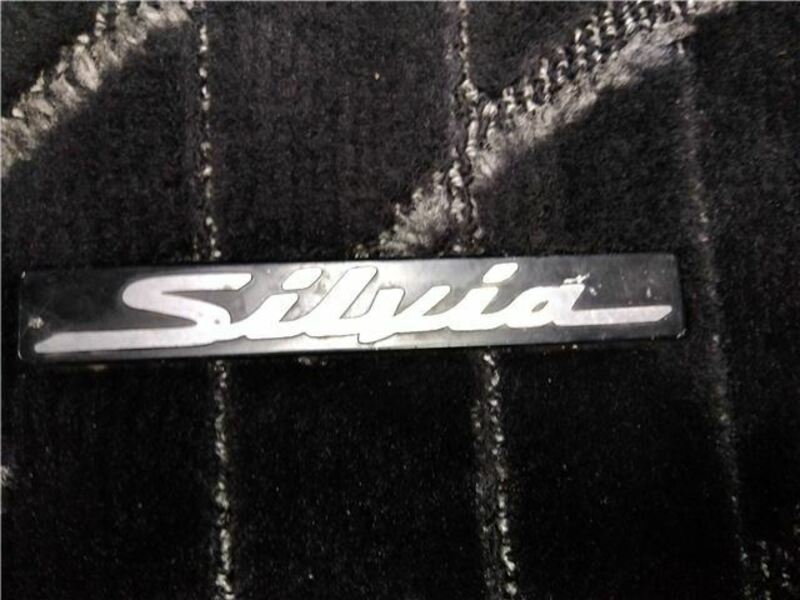 SILVIA