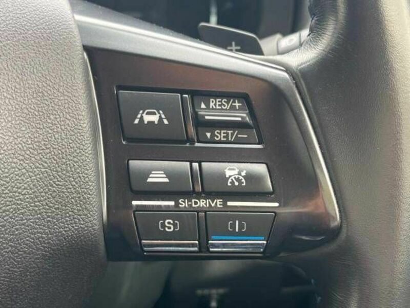 LEVORG-2