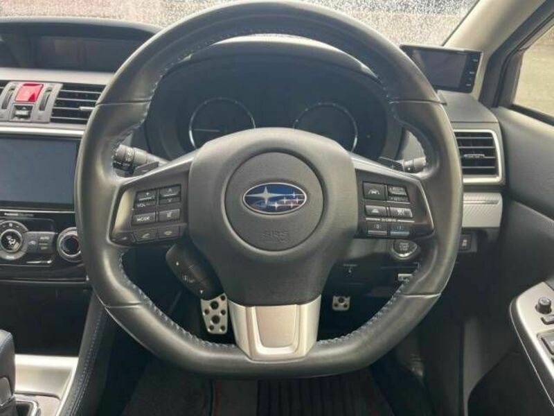 LEVORG-10