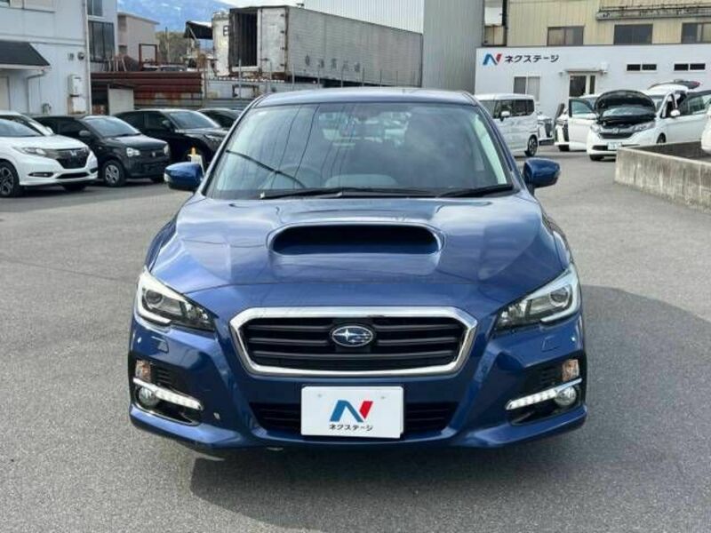 LEVORG-13