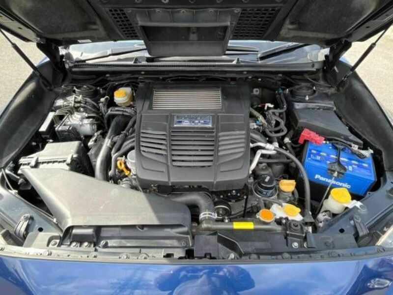 LEVORG-17