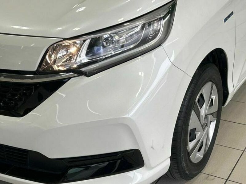 FREED HYBRID-13