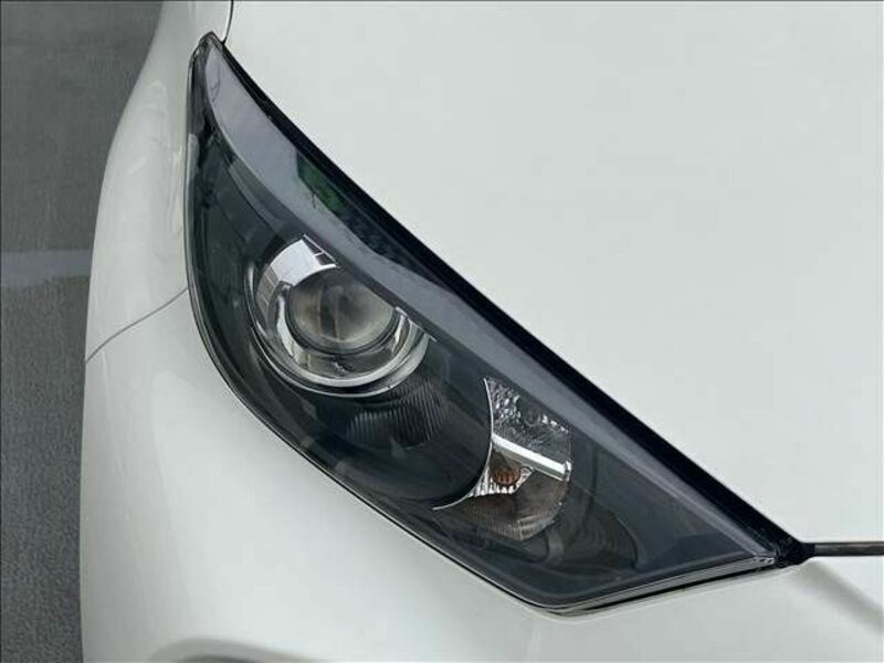 YARIS-6