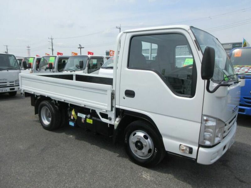 ELF-5
