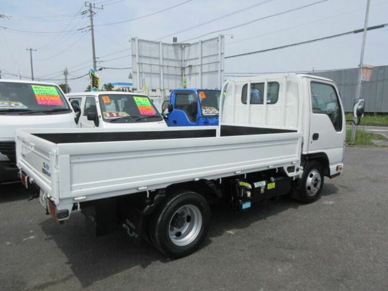 ELF-7