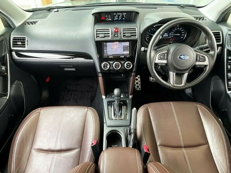 FORESTER-1