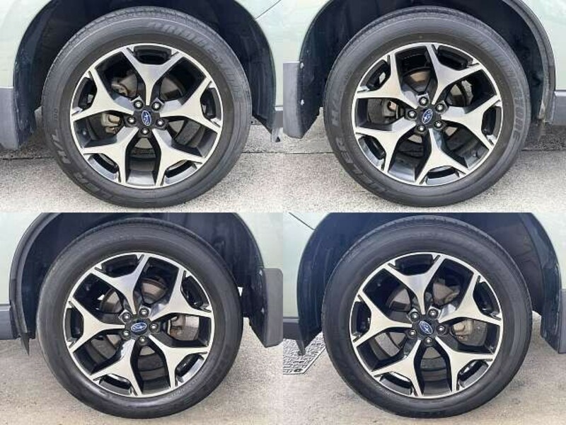 FORESTER-3
